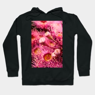 Coral Gum Delight Hoodie